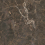 2A64 - фото 5
