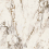 EB1A - фото 2