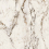EB1A - фото 6
