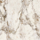 EB1A - фото 7