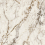 EB1C - фото 5