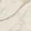 AGCJ - фото 5
