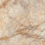 AGB9 - фото 6