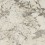 AHSE - фото 3