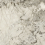 AHSE - фото 4