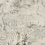 AHSE - фото 8