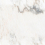 DLI2303037SC - фото 4