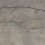 DLI2303001C - фото 1