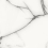 DLI2303009G - фото 1
