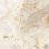 DLI2303016G - фото 1