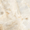 DLI2303016G - фото 2