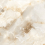 DLI2303016G - фото 3