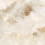 DLI2303016G - фото 5