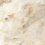DLI2303016G - фото 4
