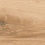 DLI2303562M - фото 1