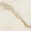 AIAT - фото 2