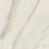 AIAT - фото 8