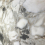 Creanza Aragonite - фото 4