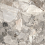 NR0387 - фото 4