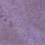 42608 - фото 10