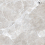NSC8040 - фото 2