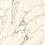 100331028 - фото 1