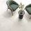 ProConcept Haven - фото 3