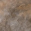 3401 - фото 1