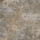 CAN5BRERODFA - фото 2