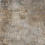 CAN5BRERODFA - фото 3