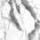 765697 - фото 4