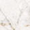 NTT9362DS - фото 5