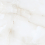 NTT99953D - фото 1