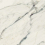 J92950 - фото 1