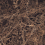 EM006012H - фото 3