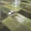 Smile Tile Jazz - фото 11
