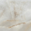 RDF1 - фото 8
