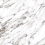 CA12610 - фото 2