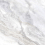 NG20A - фото 4