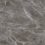 TP3628B - фото 2