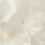 GNR12060409-GM - фото 4