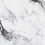 BS1001-B - фото 4