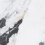 BS1001-B - фото 6