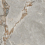 DG157558A  - фото 6