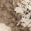 1278FD18 - фото 1