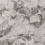 BA01/NS_R9/60x120x9R/GW - фото 2