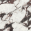 A039520N - фото 1