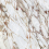 AGP0 - фото 1
