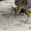 MON BL6 278 LP - фото 104