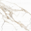 GFA30120NPL04R - фото 1